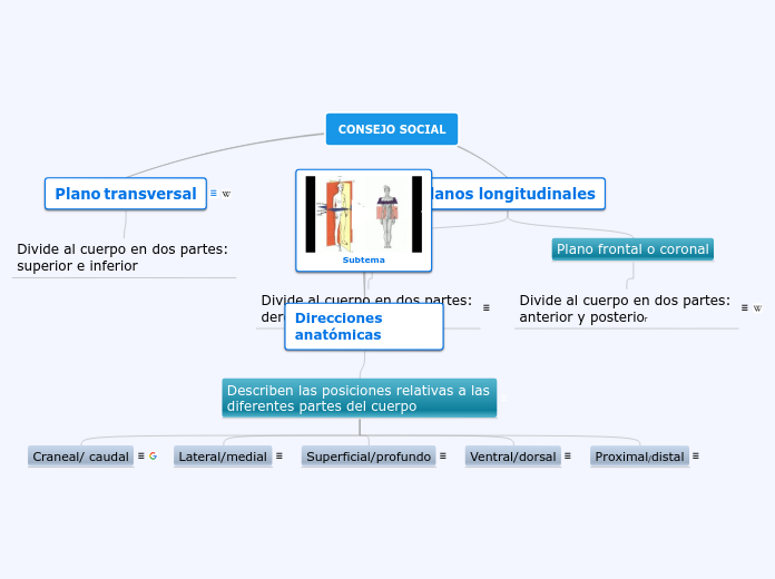 Planos Anatómicos Mind Map 